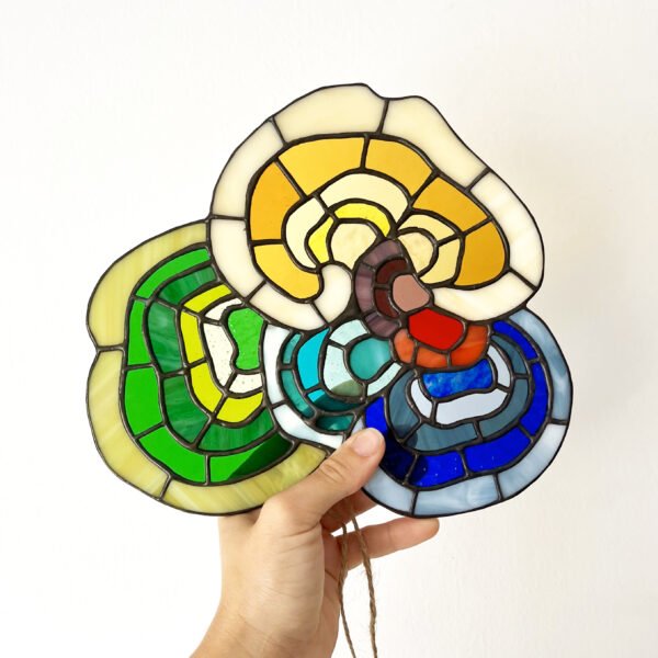 Rainbow Mushroom - Image 2